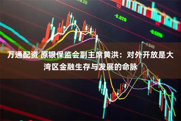 万通配资 原银保监会副主席黄洪：对外开放是大湾区金融生存与发展的命脉